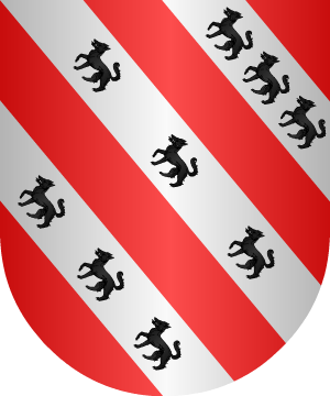 ESCUDO SIGUIENTE